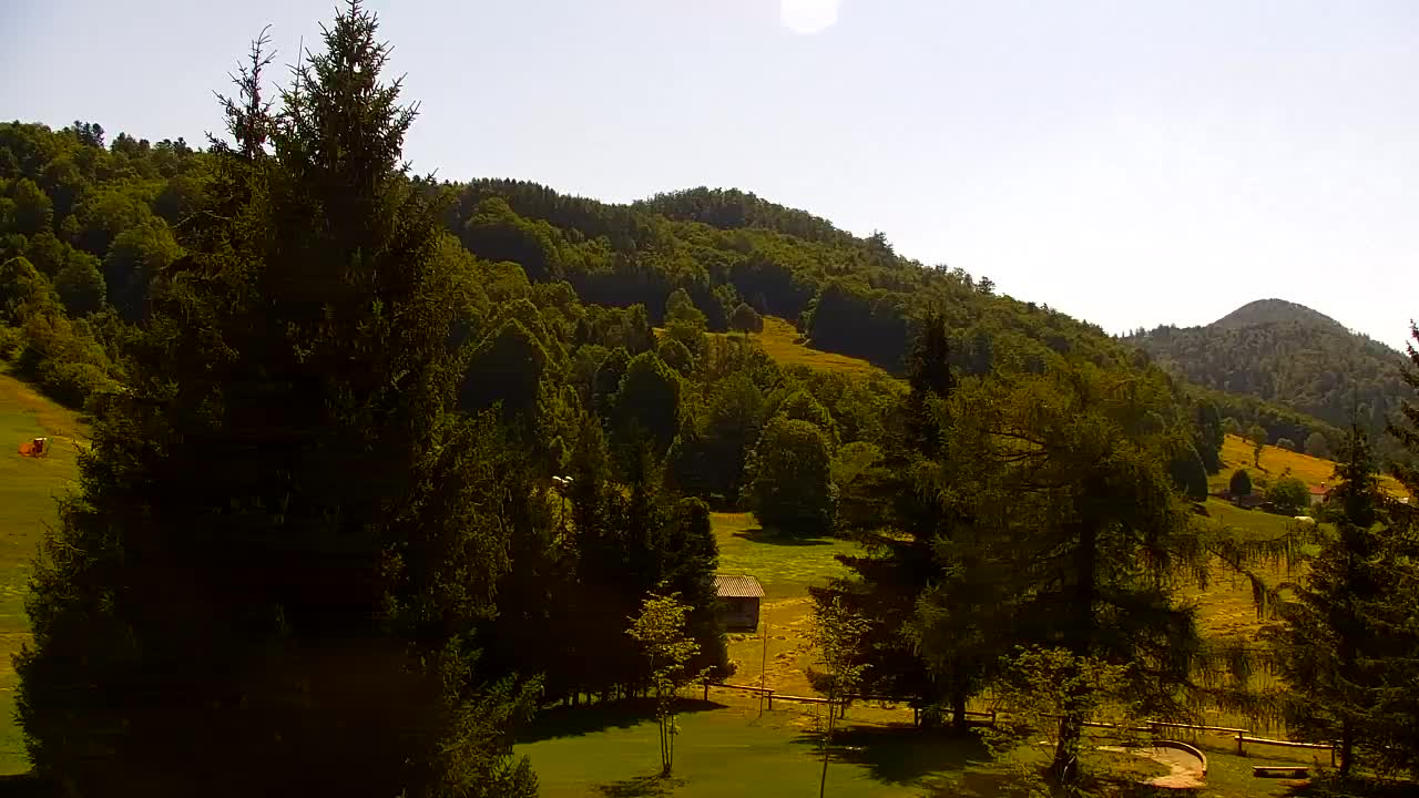 Webcam Loqua / Lokve – La bellezza della selva di Tarnova