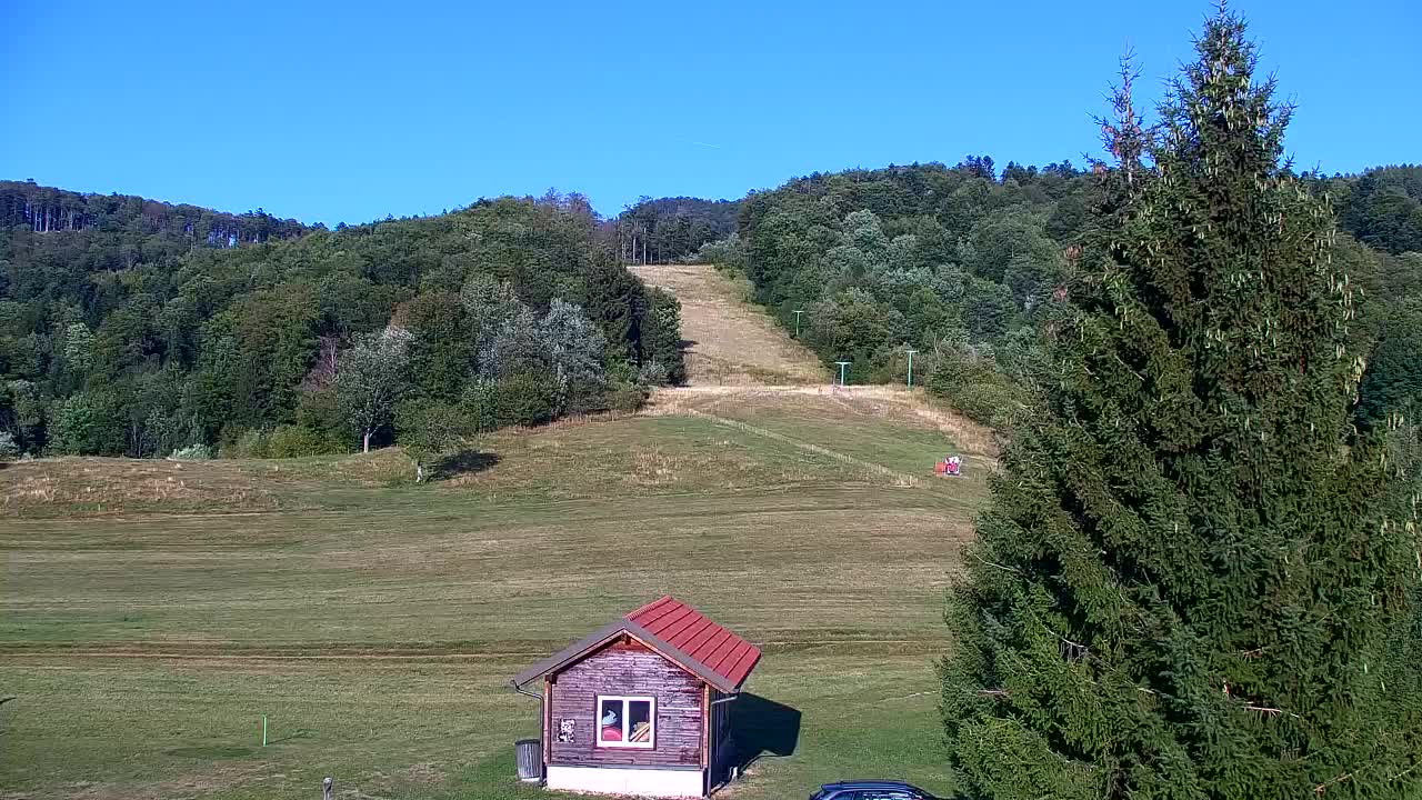 Webcam Loqua / Lokve – La bellezza della selva di Tarnova