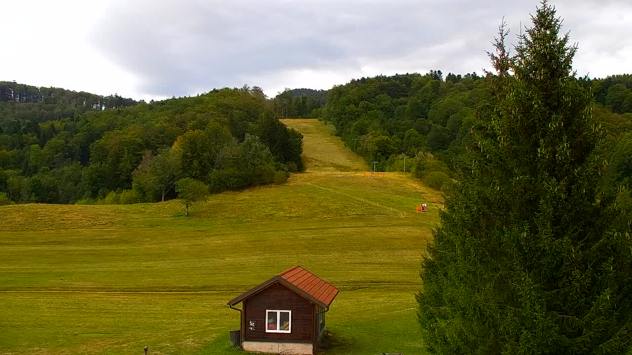 Webcam Lokve – The beauty of the Trnovo forest
