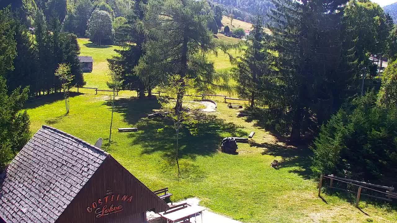 Webcam Lokve – The beauty of the Trnovo forest