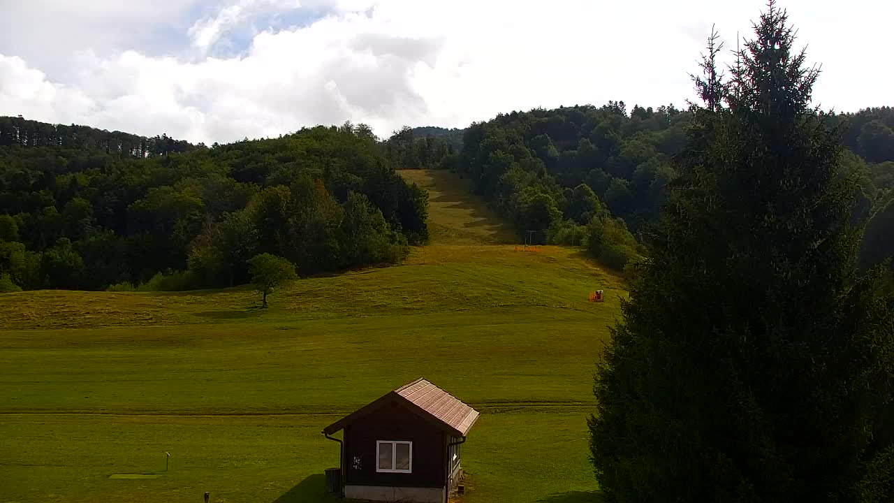 Webcam Lokve – La beauté de la forêt de Trnovo