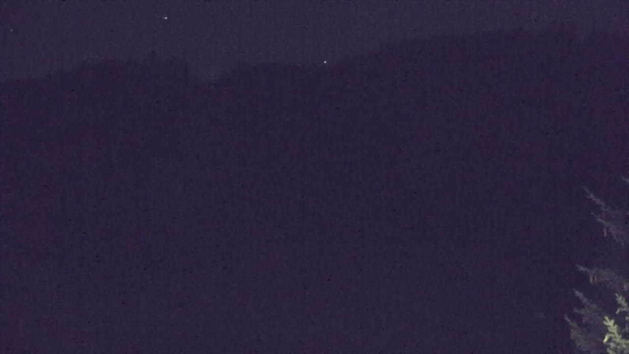 Webcam Lokve – La beauté de la forêt de Trnovo
