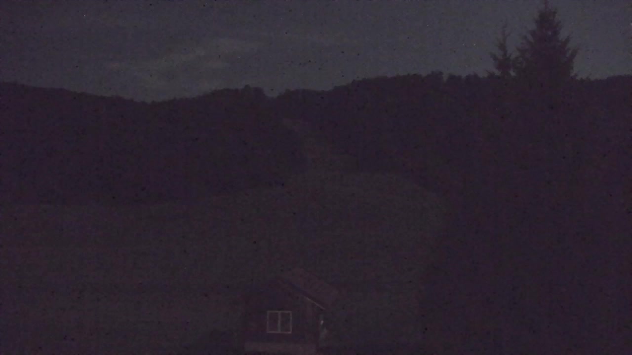 Webcam Lokve – Die Schönheit des Trnovo-Waldes
