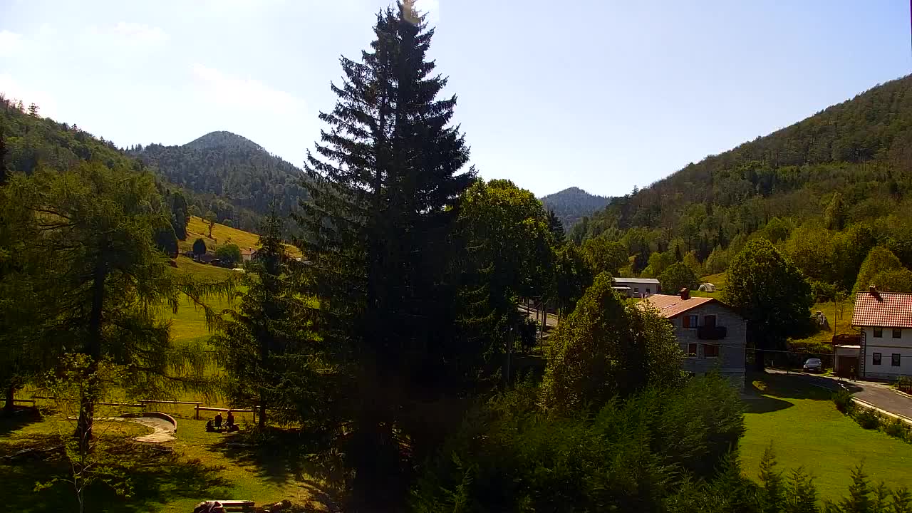 Webcam Loqua / Lokve – La bellezza della selva di Tarnova