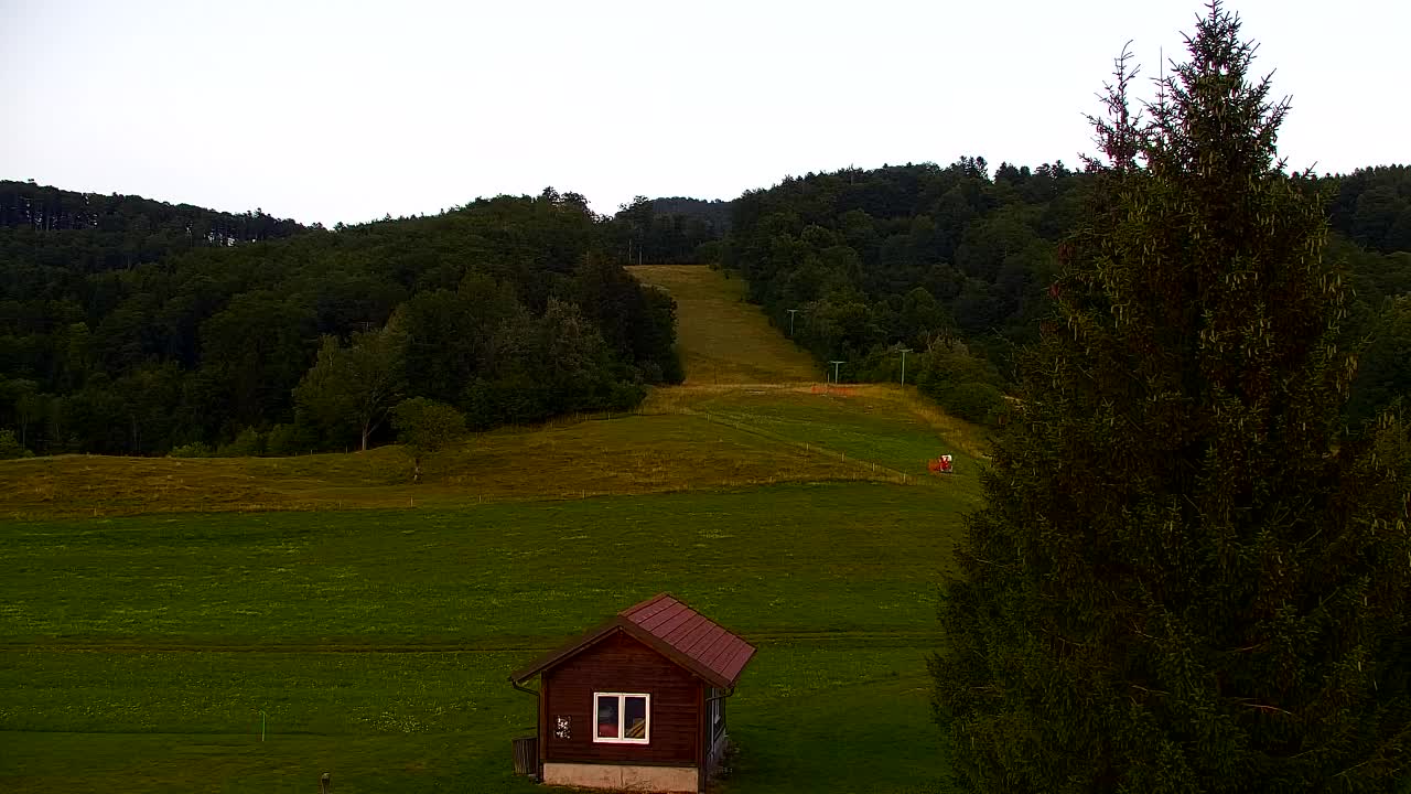 Webcam Lokve – La beauté de la forêt de Trnovo
