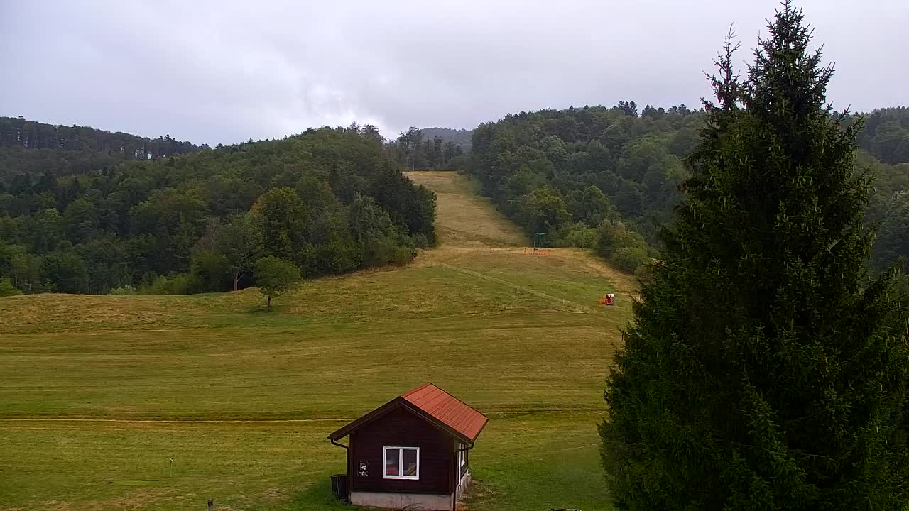 Webcam Lokve – La beauté de la forêt de Trnovo