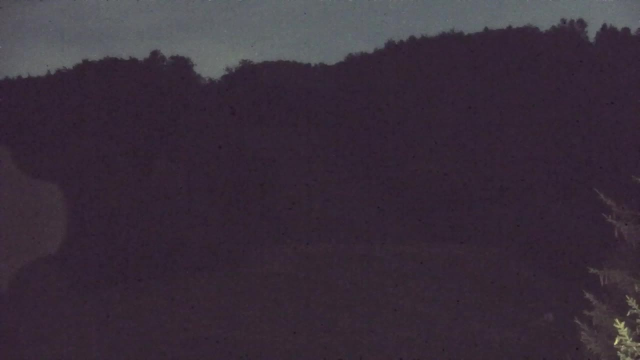 Webcam Loqua / Lokve – La bellezza della selva di Tarnova