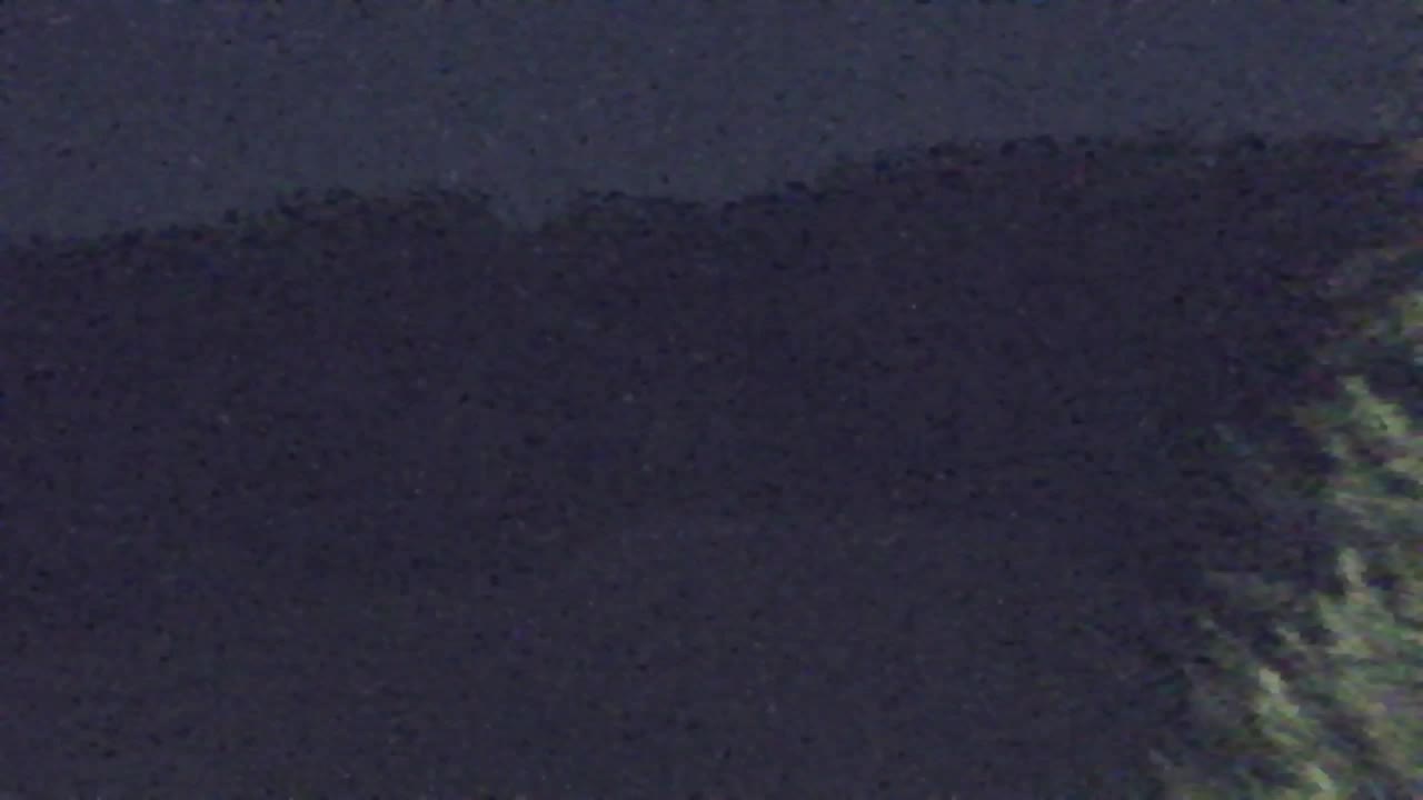 Webcam Lokve – The beauty of the Trnovo forest