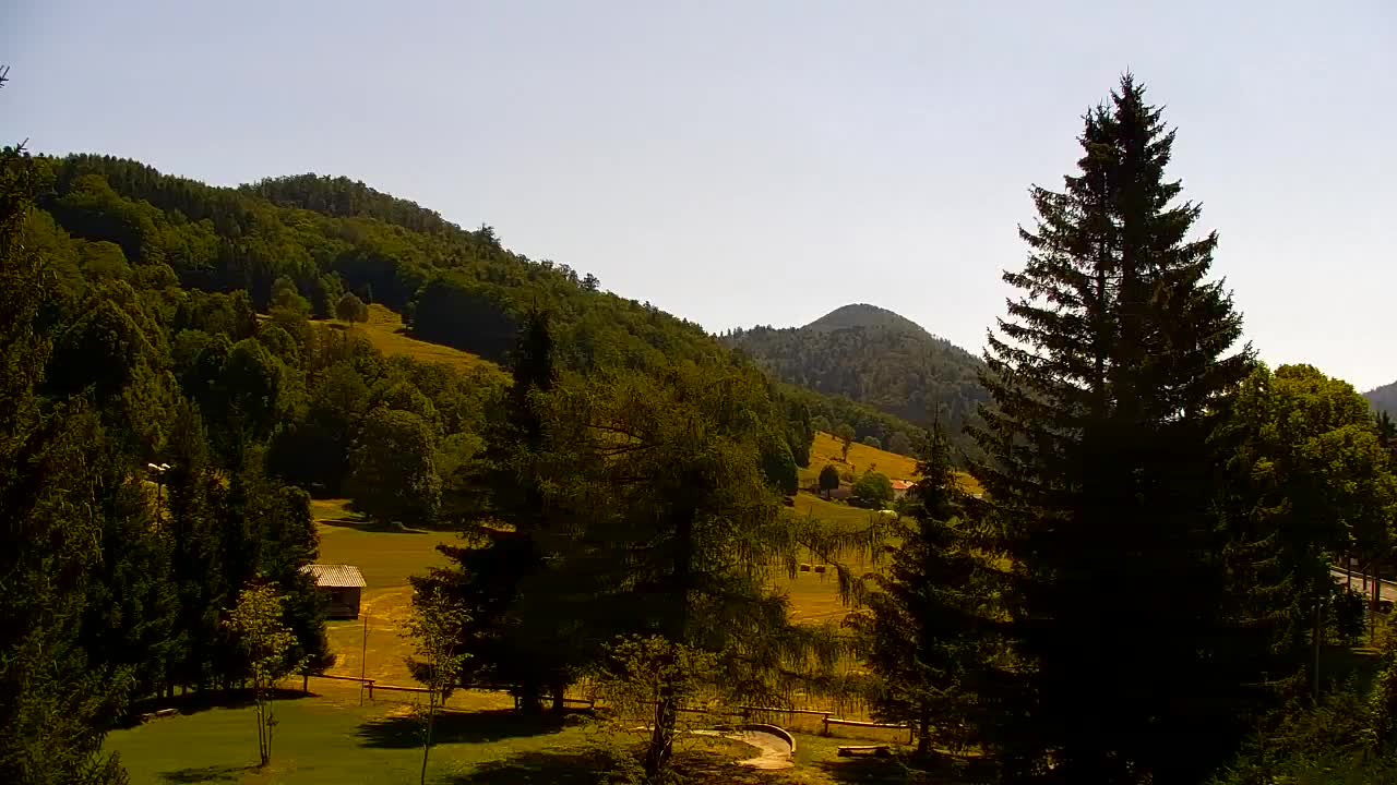 Webcam Loqua / Lokve – La bellezza della selva di Tarnova