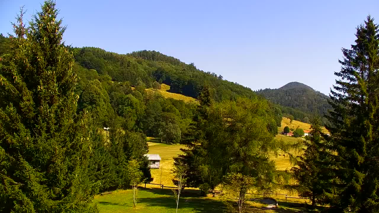 Webcam Loqua / Lokve – La bellezza della selva di Tarnova
