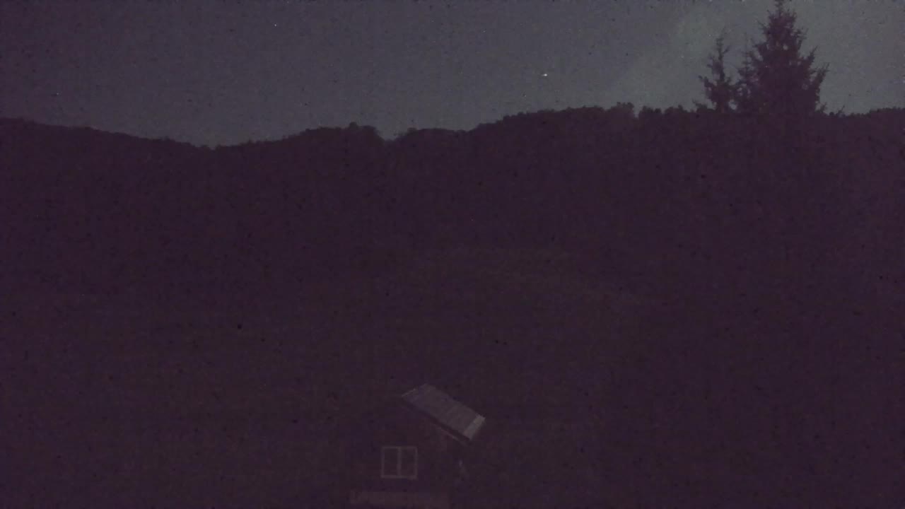 Webcam Loqua / Lokve – La bellezza della selva di Tarnova