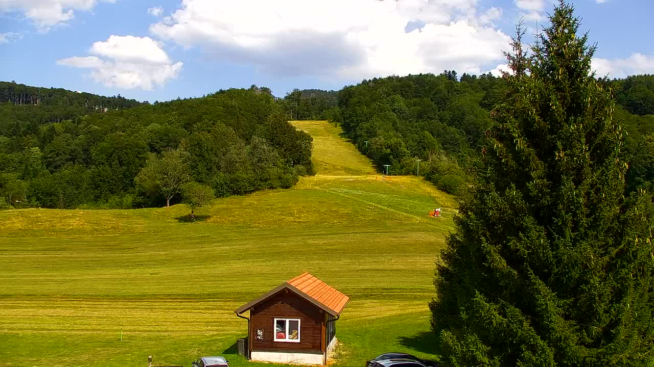 Webcam Loqua / Lokve – La bellezza della selva di Tarnova