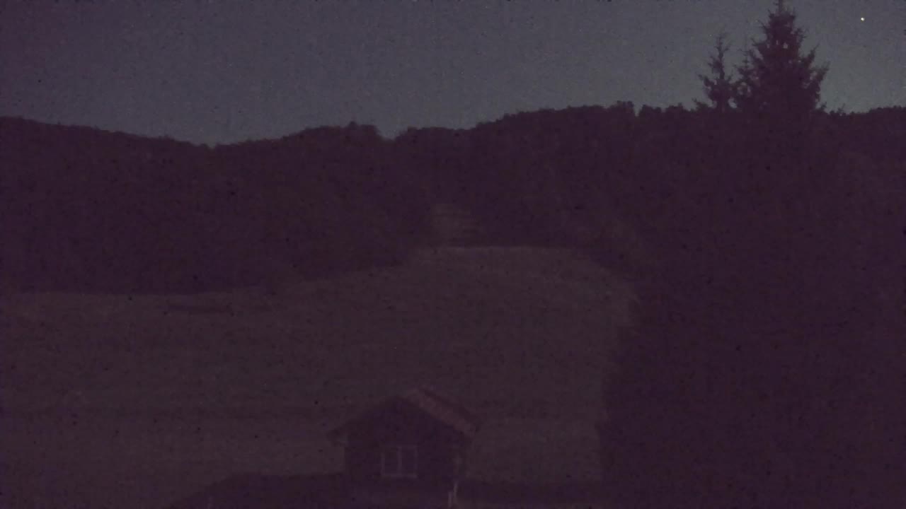 Webcam Lokve – Die Schönheit des Trnovo-Waldes