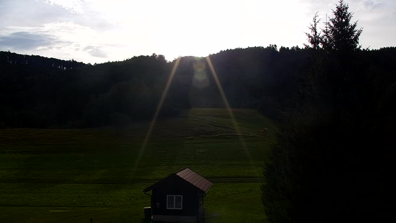 Webcam Loqua / Lokve – La bellezza della selva di Tarnova