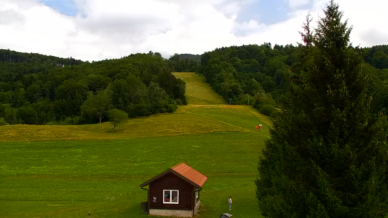 Webcam Loqua / Lokve – La bellezza della selva di Tarnova
