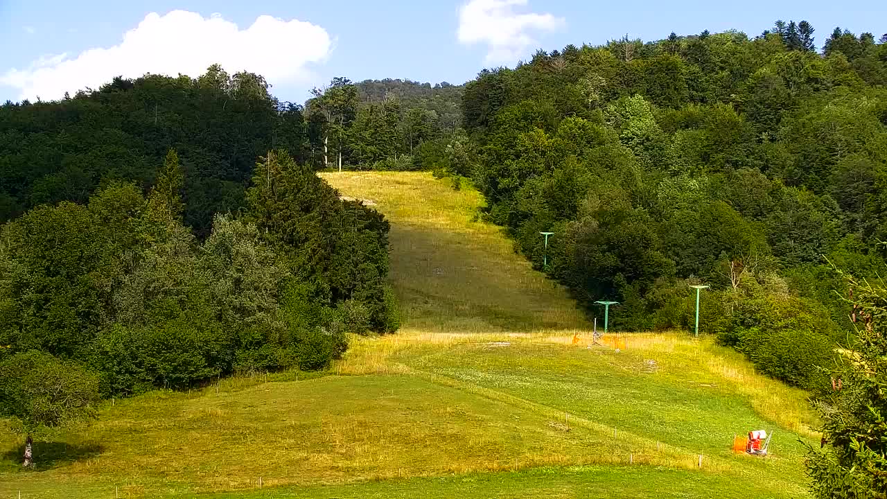 Webcam Loqua / Lokve – La bellezza della selva di Tarnova