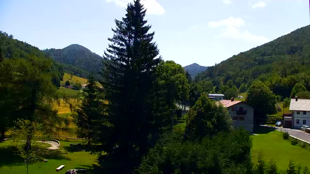 Webcam Loqua / Lokve – La bellezza della selva di Tarnova