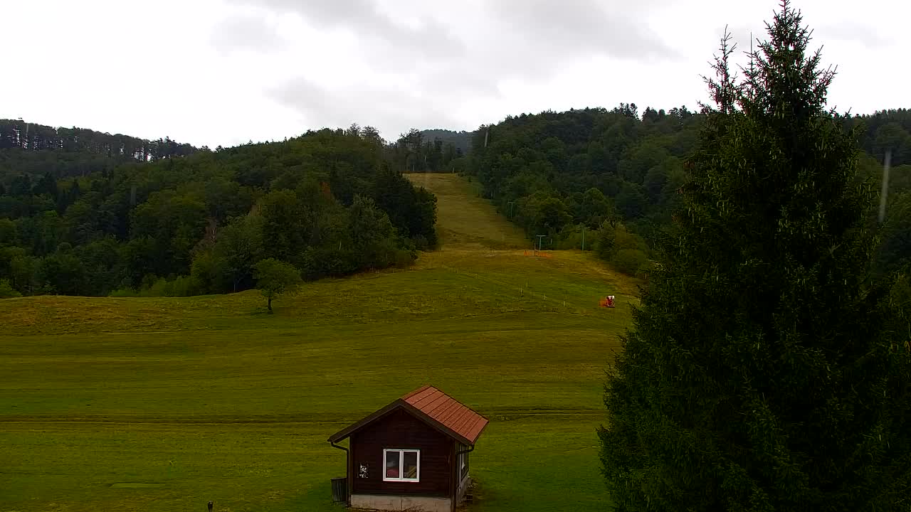 Webcam Loqua / Lokve – La bellezza della selva di Tarnova