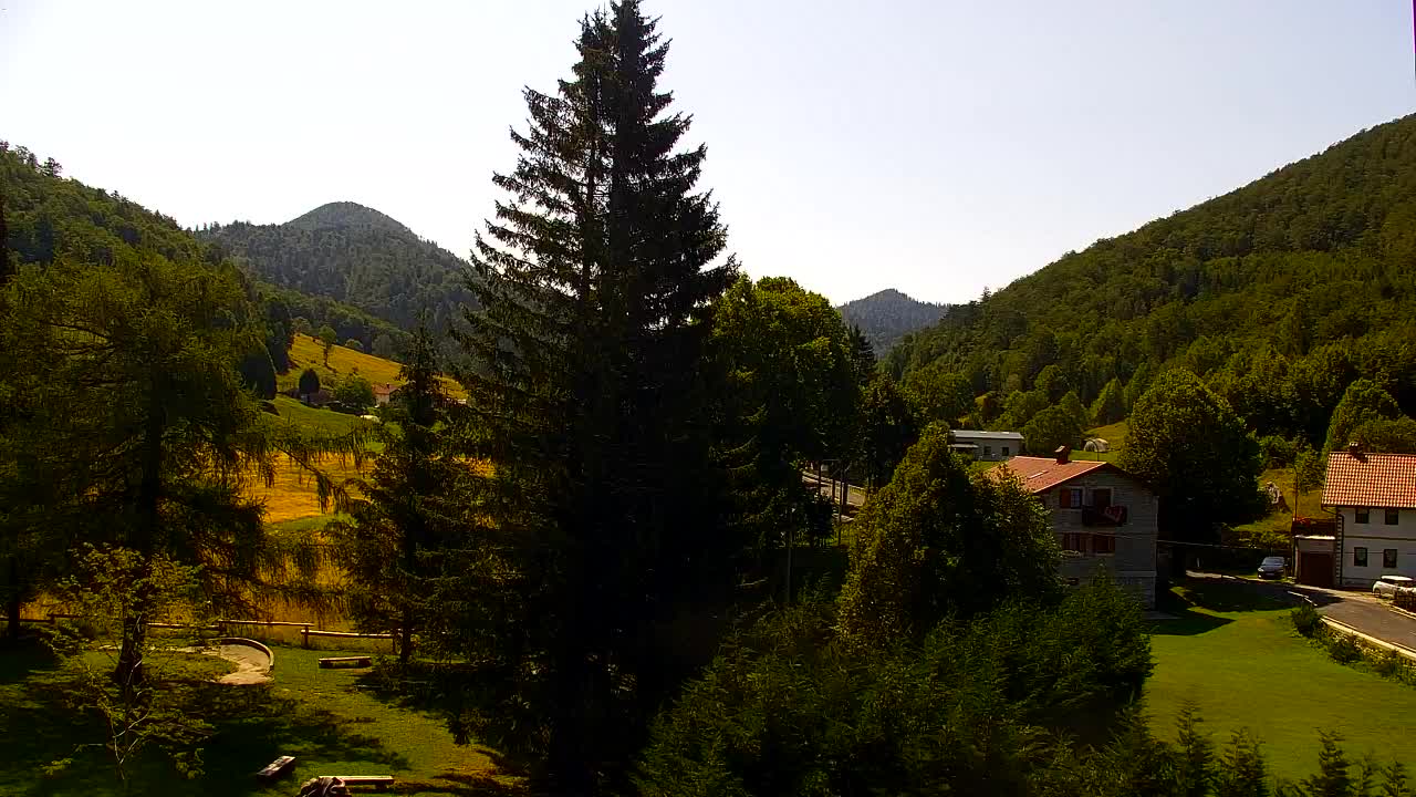 Webcam Lokve – La beauté de la forêt de Trnovo