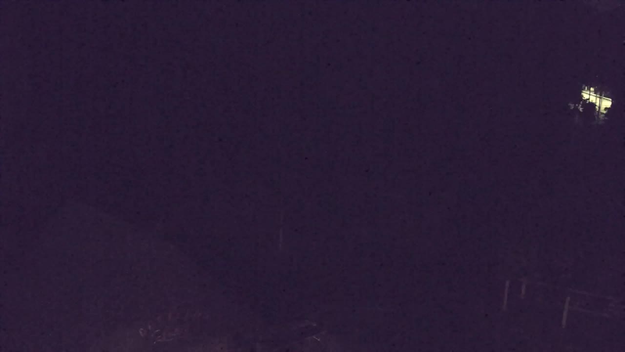 Webcam Lokve – The beauty of the Trnovo forest