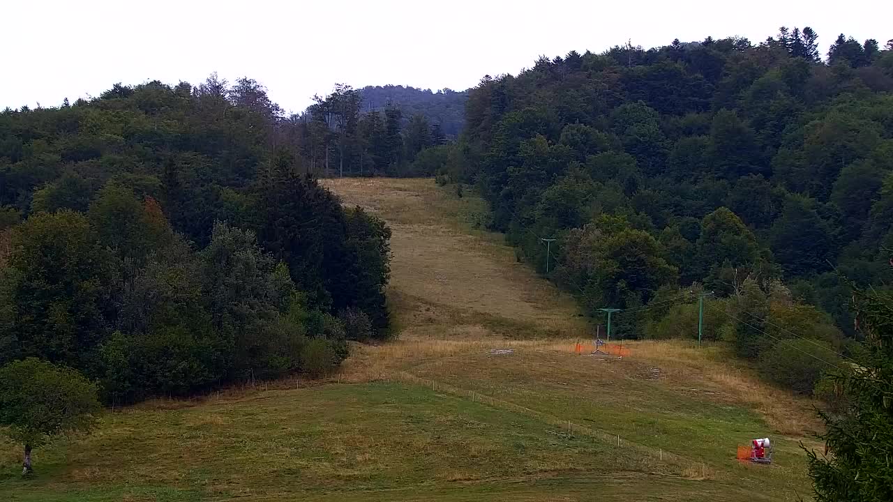 Webcam Loqua / Lokve – La bellezza della selva di Tarnova