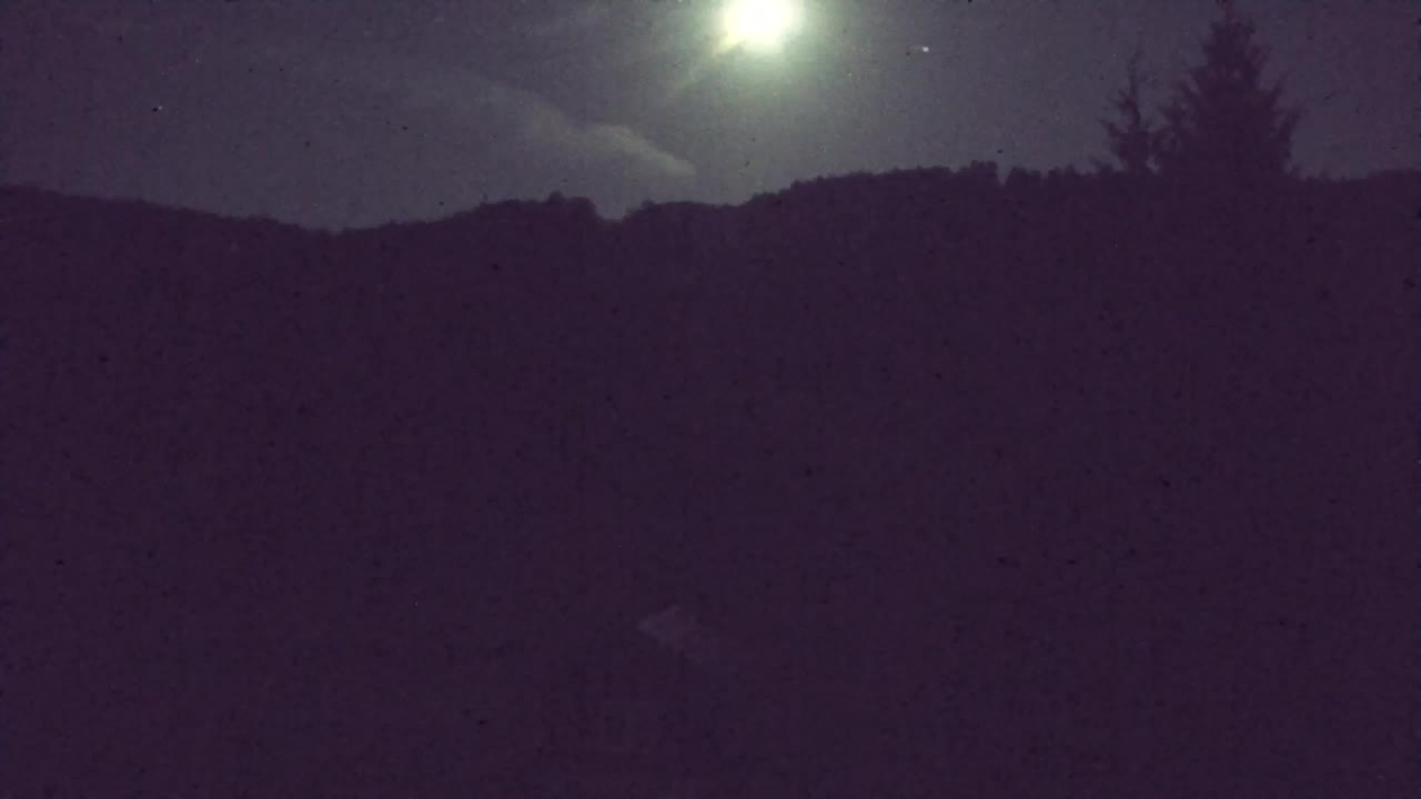 Webcam Loqua / Lokve – La bellezza della selva di Tarnova