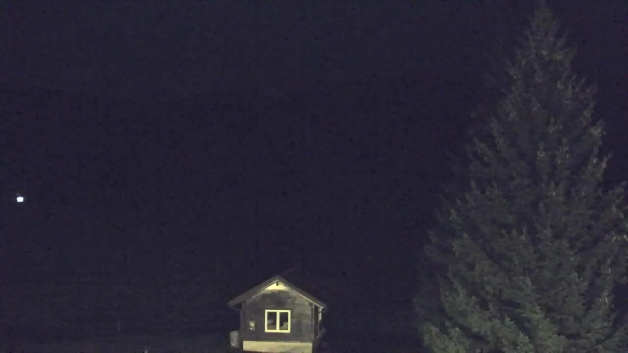 Webcam Loqua / Lokve – La bellezza della selva di Tarnova