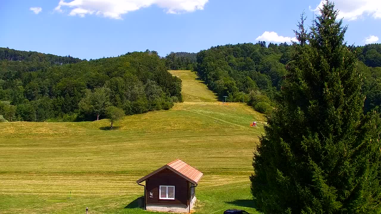 Webcam Loqua / Lokve – La bellezza della selva di Tarnova
