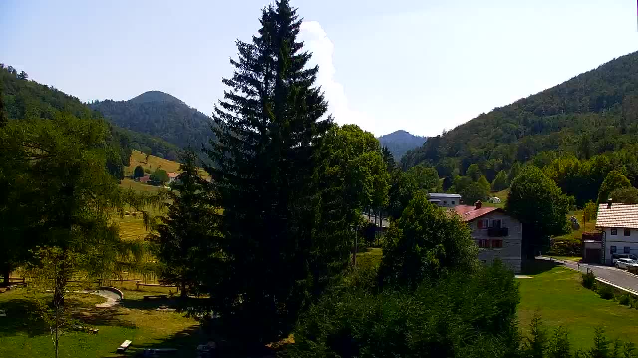 Webcam Loqua / Lokve – La bellezza della selva di Tarnova