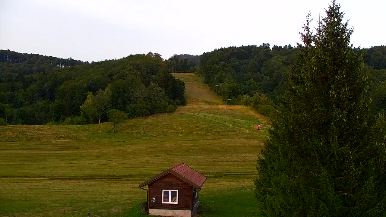 Webcam Loqua / Lokve – La bellezza della selva di Tarnova