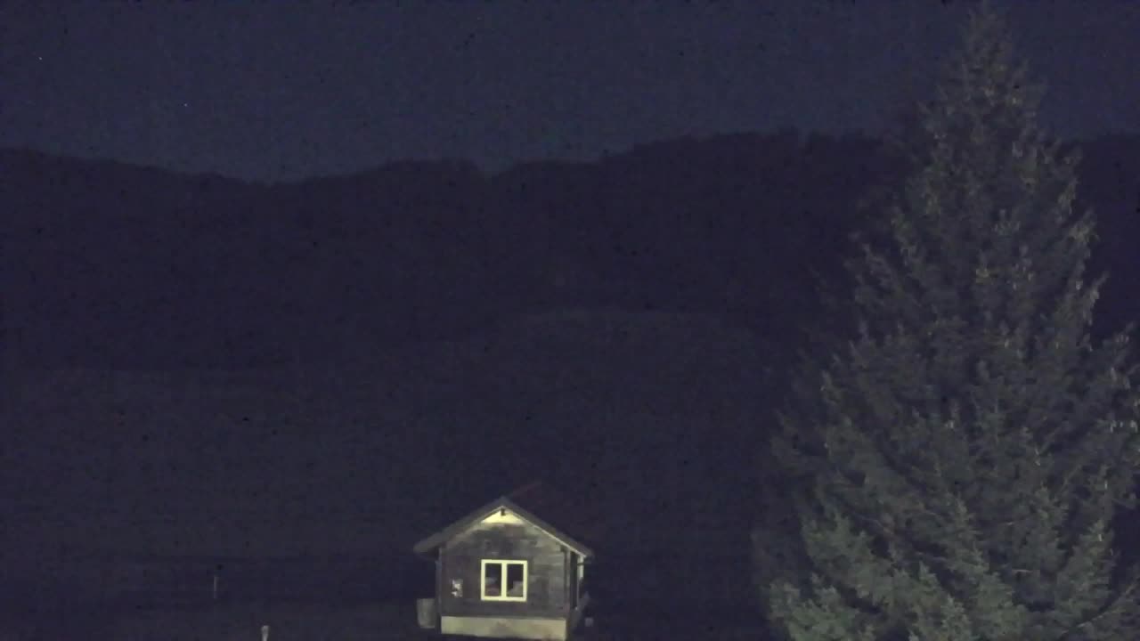 Webcam Loqua / Lokve – La bellezza della selva di Tarnova