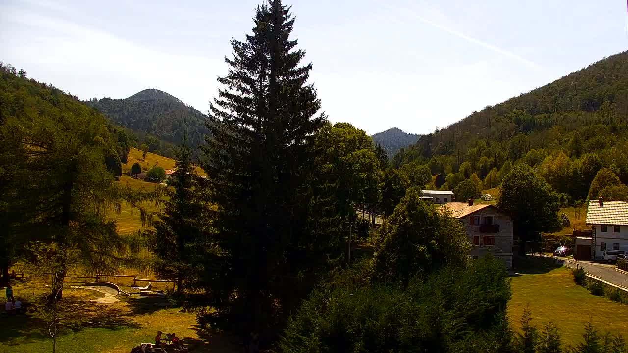 Webcam Lokve – La beauté de la forêt de Trnovo