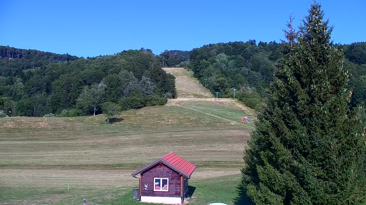 Webcam Loqua / Lokve – La bellezza della selva di Tarnova