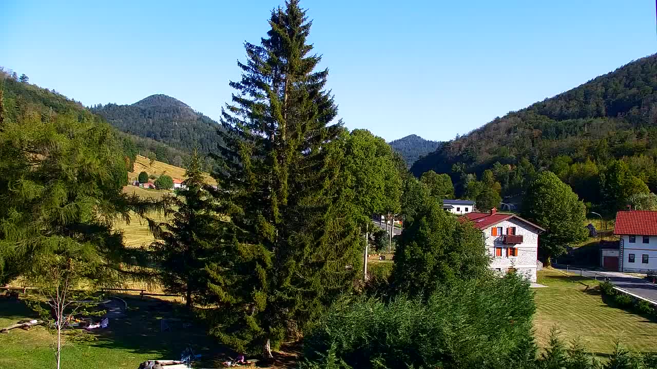 Webcam Loqua / Lokve – La bellezza della selva di Tarnova