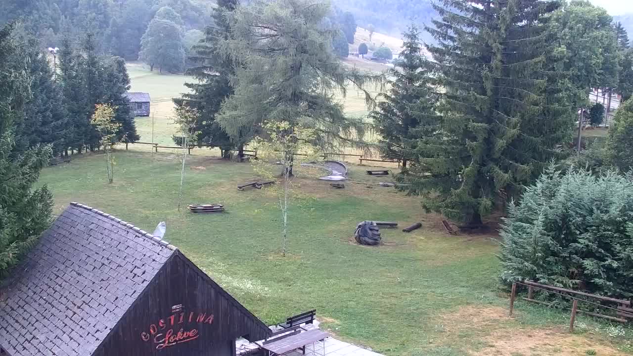 Webcam Loqua / Lokve – La bellezza della selva di Tarnova