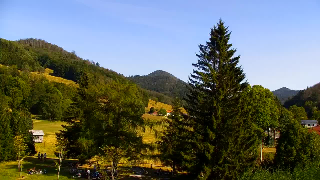 Webcam Lokve – The beauty of the Trnovo forest