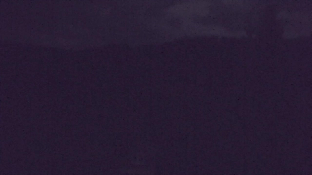 Webcam Loqua / Lokve – La bellezza della selva di Tarnova