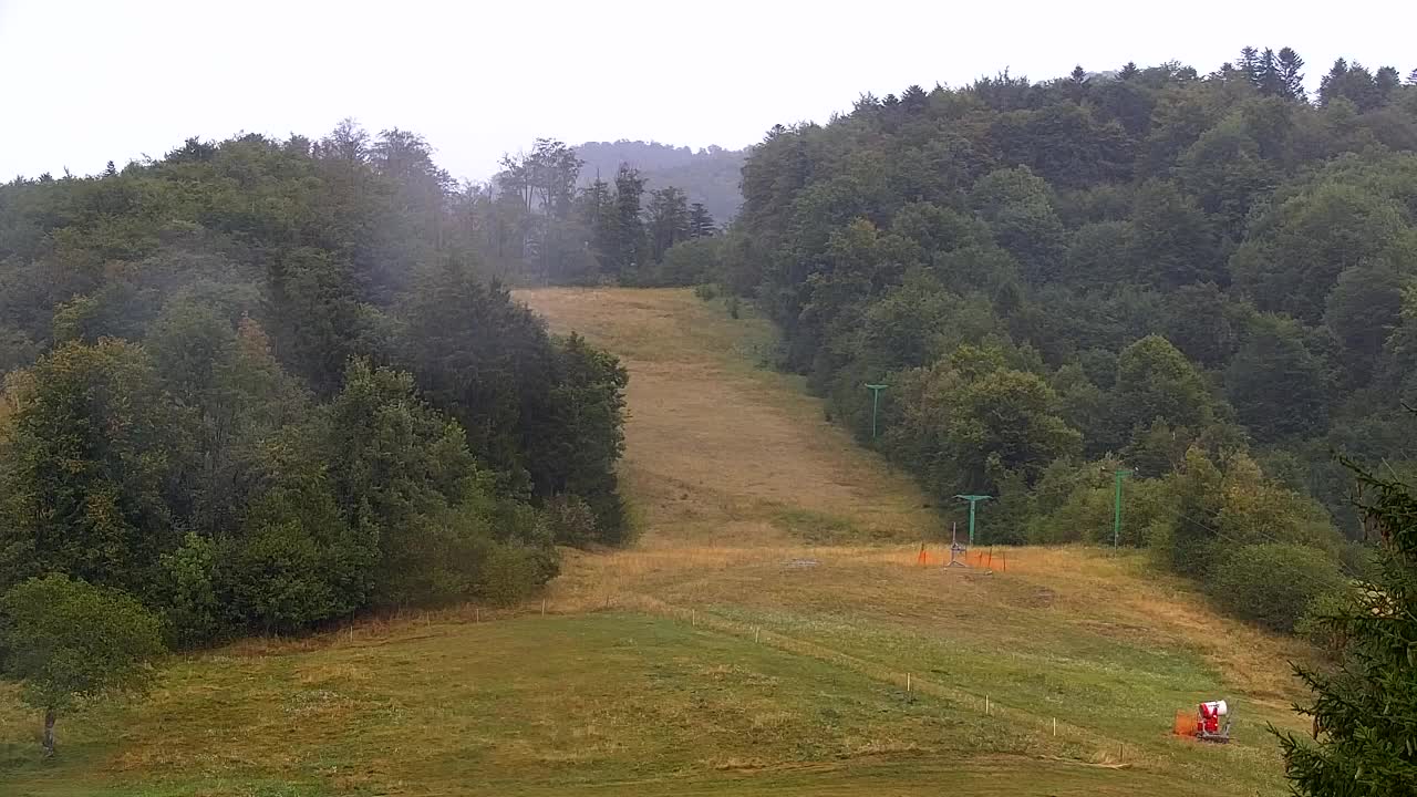 Webcam Lokve – The beauty of the Trnovo forest