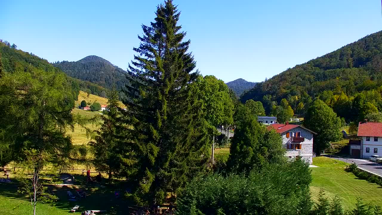 Webcam Lokve – La beauté de la forêt de Trnovo