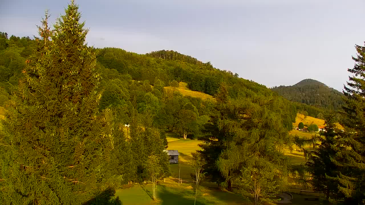 Webcam Loqua / Lokve – La bellezza della selva di Tarnova