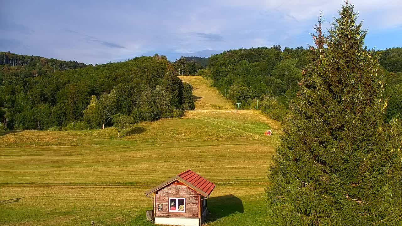 Webcam Lokve – The beauty of the Trnovo forest