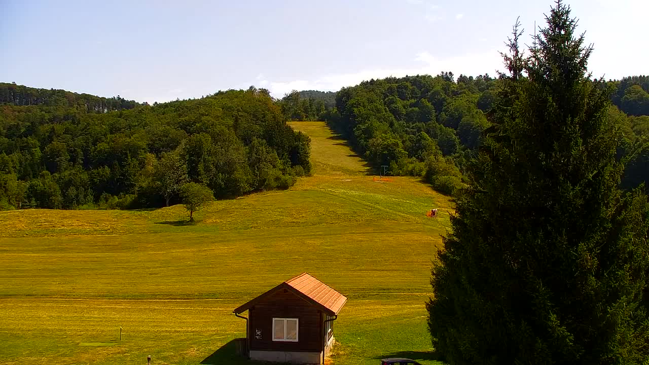 Camera en vivo Lokve – La belleza del bosque de Trnovo