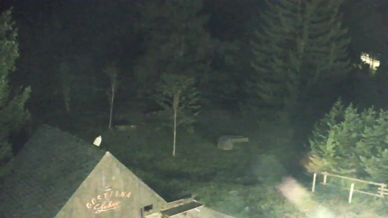 Webcam Lokve – The beauty of the Trnovo forest