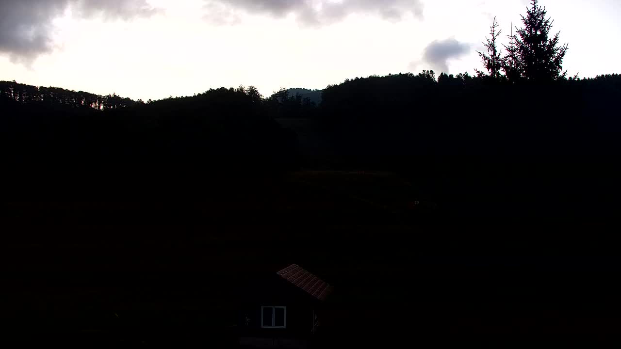 Webcam Loqua / Lokve – La bellezza della selva di Tarnova