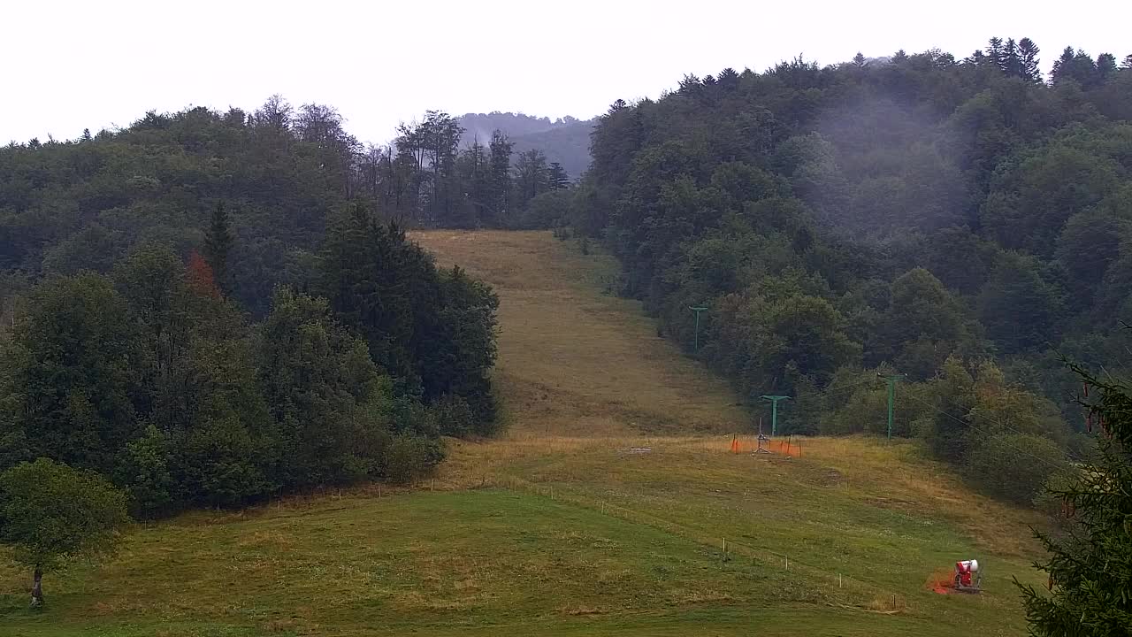 Webcam Lokve – La beauté de la forêt de Trnovo