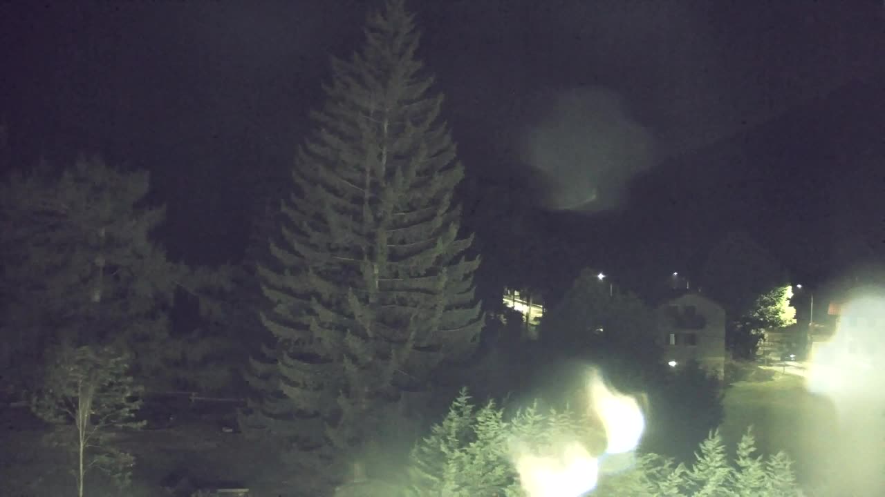 Webcam Loqua / Lokve – La bellezza della selva di Tarnova