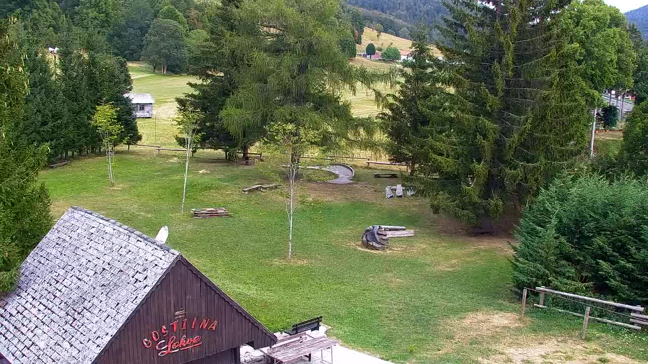 Webcam Loqua / Lokve – La bellezza della selva di Tarnova