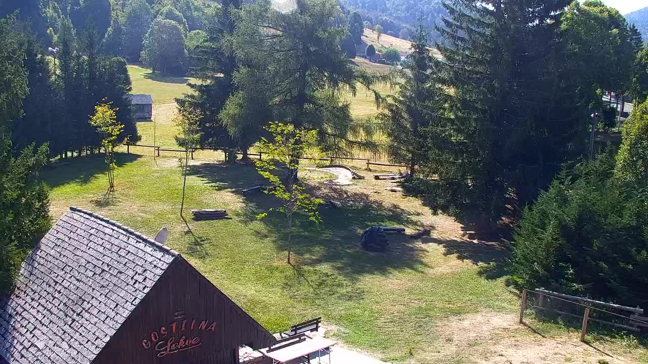 Webcam Lokve – The beauty of the Trnovo forest