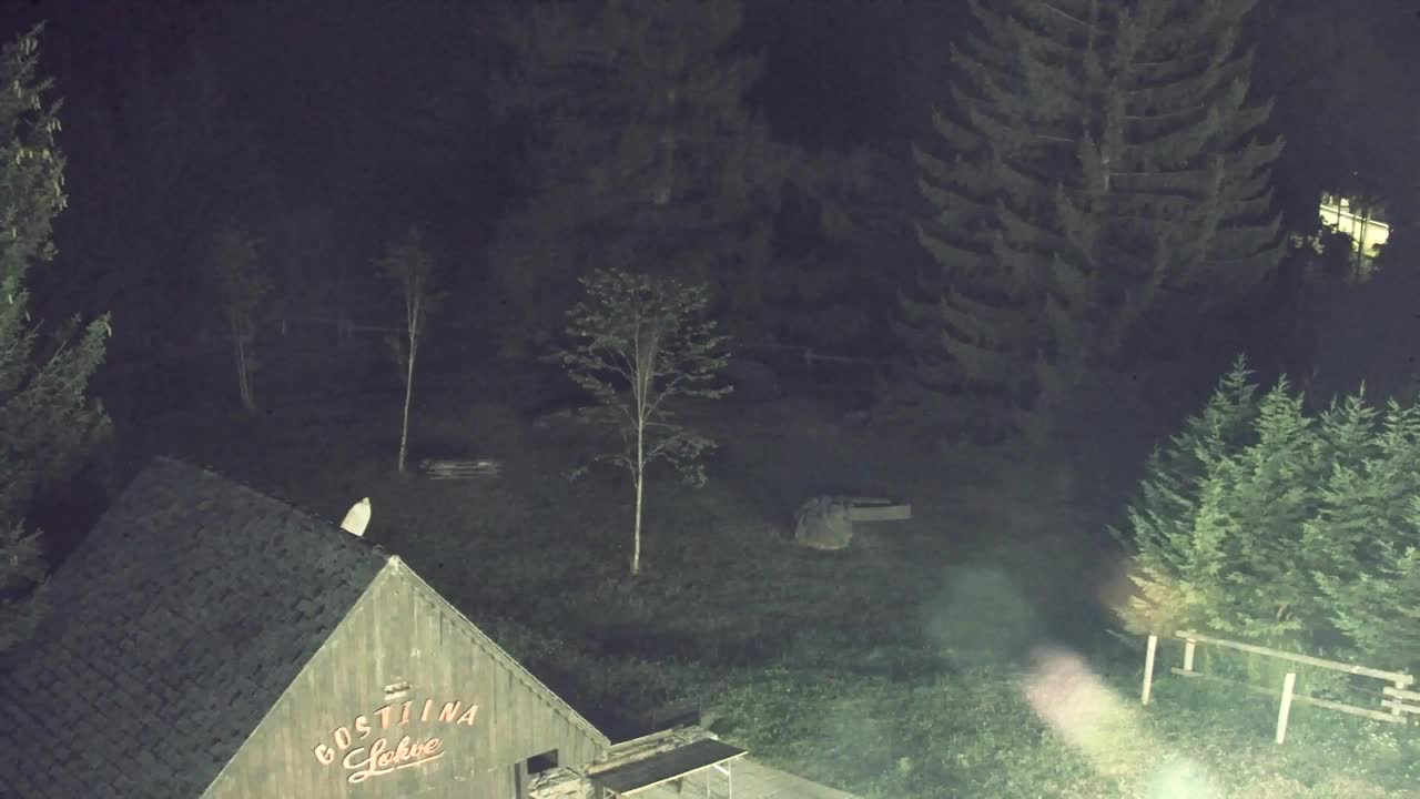 Webcam Lokve – The beauty of the Trnovo forest