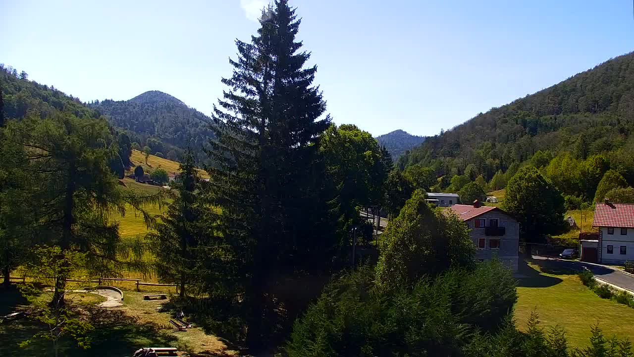 Webcam Loqua / Lokve – La bellezza della selva di Tarnova